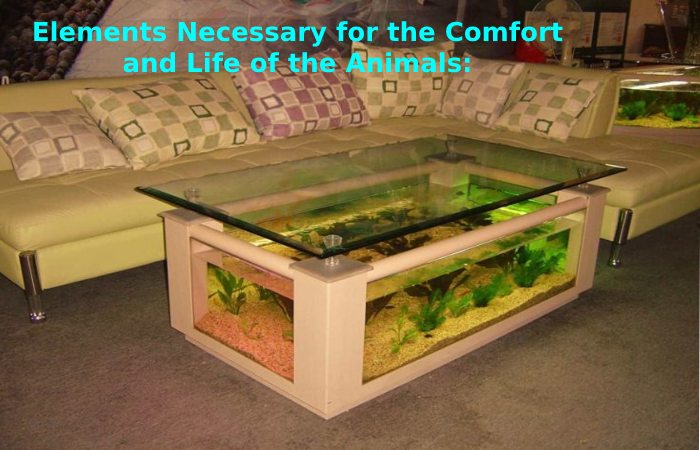Comfort and Life of the Animals