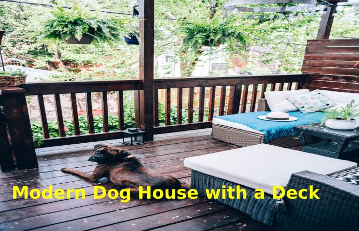 Modern Dog House with a Deck